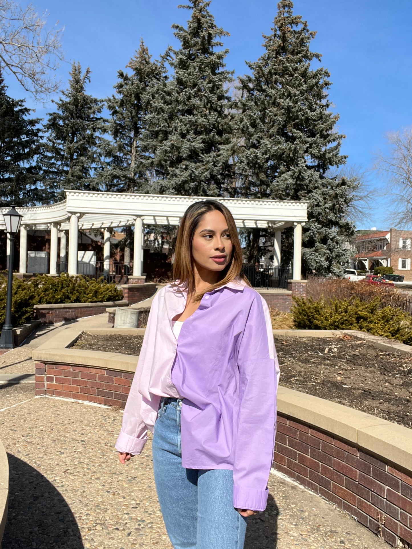Shades of Lavender