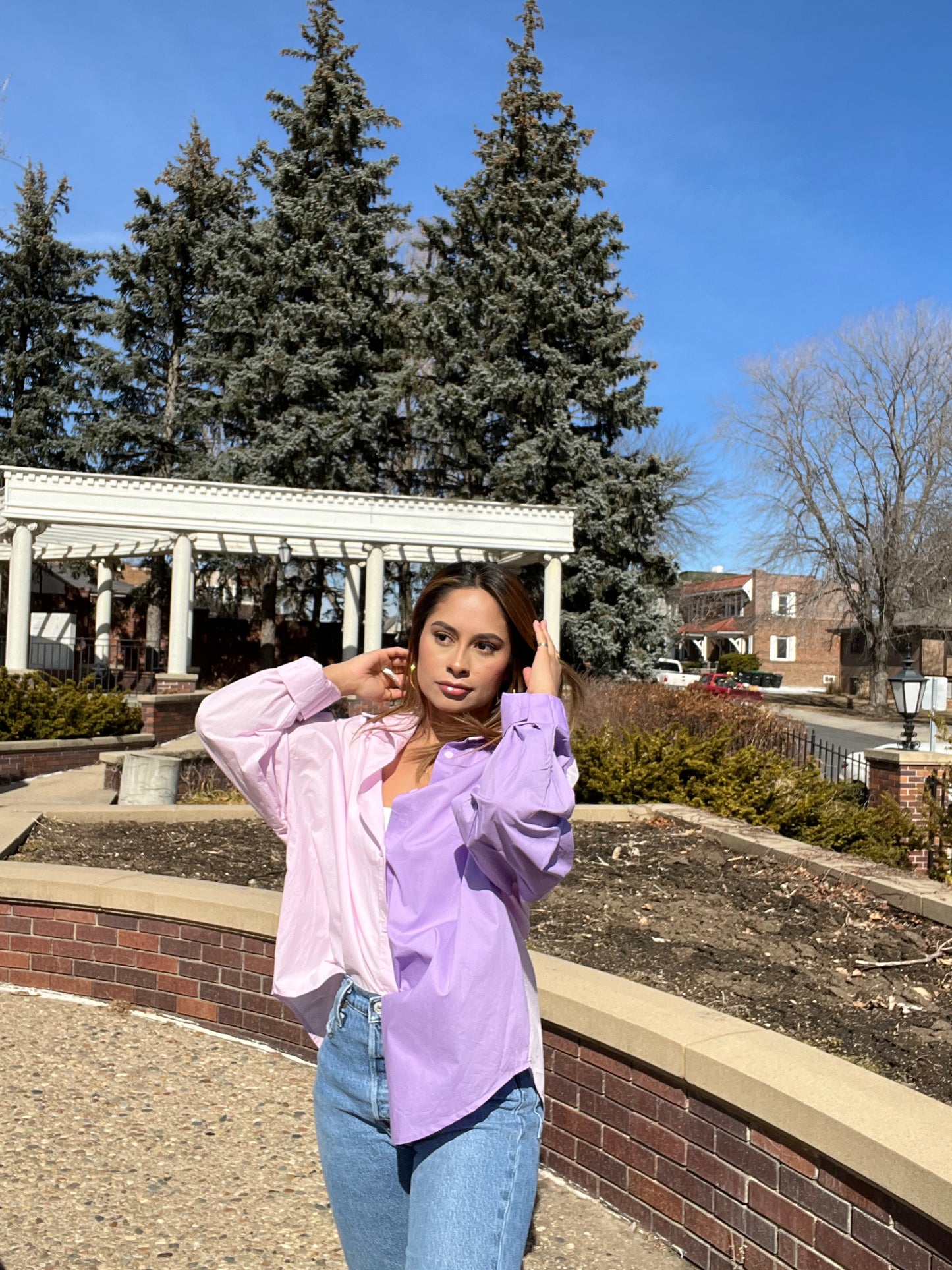 Shades of Lavender